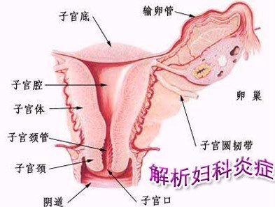杭州治疗阴道炎哪家医院好